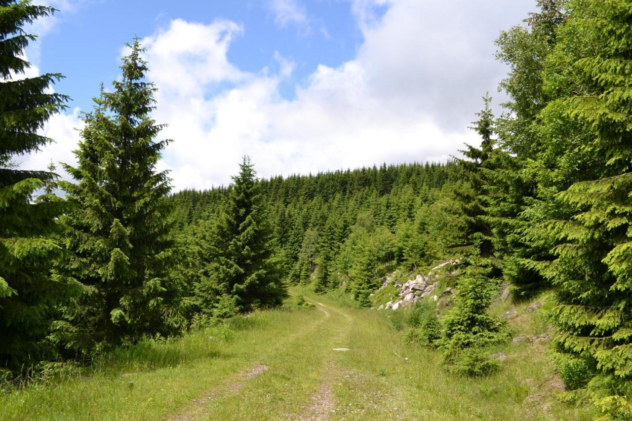 Panorama 2* Špindlerŭv Mlýn